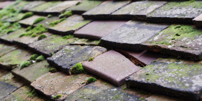 Longview roof repair costs